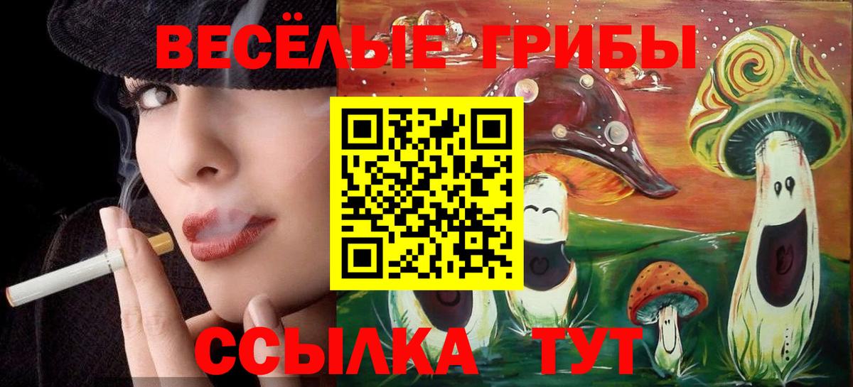 Псилоцибиновые грибы Psilocybine cubensis Верхняя Салда