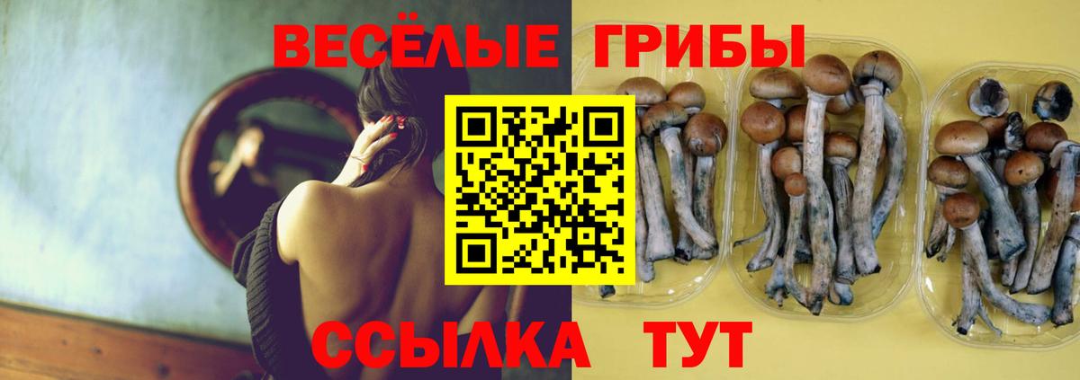 Верхняя Салда  Галлюциногенные грибы Cubensis  Псилоцибиновые грибы Psilocybine cubensis  Вход с VPN 